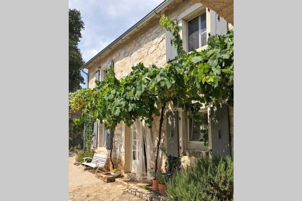 Ferienhaus Villa Alisia, Wunderschoenes Natursteinhaus Bei Porec, Istrien, Kroatien Vranje Selo Exterior photo